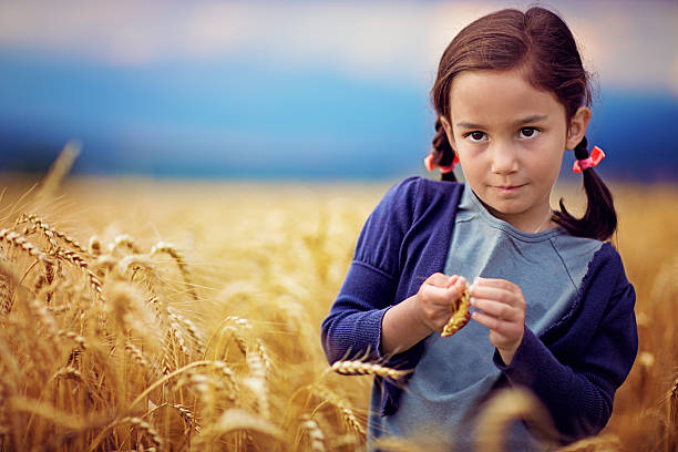 istock In the field of wheat 513232705