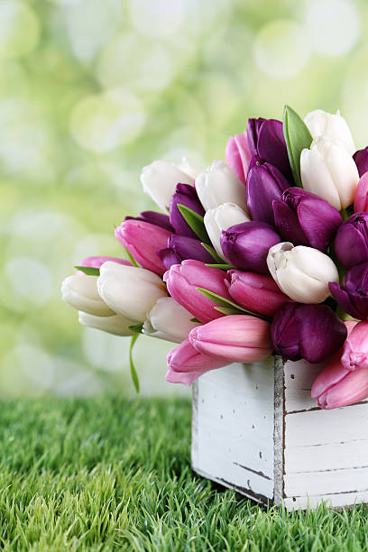 istock flowers in vase 513232782