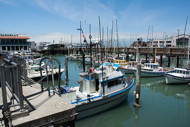 istock Fishing port in San Francisco 513233021