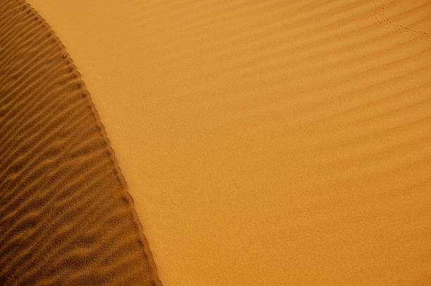 istock Moroccan Sand Dune with Ripples and Shadows 513233555
