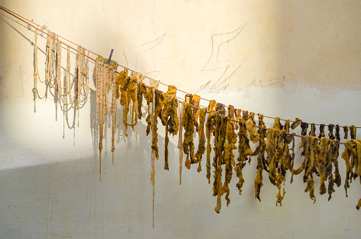 Sheep innards drying on a clothesline in the sun in Morocco