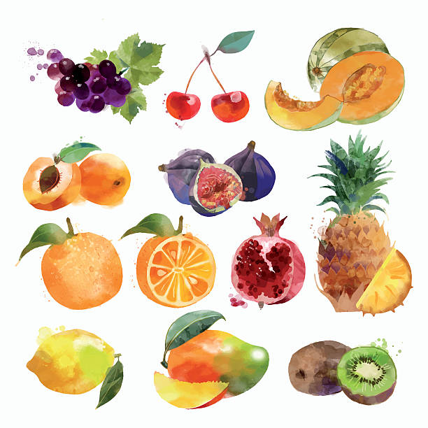 ilustraciones, imágenes clip art, dibujos animados e iconos de stock de watercolor conjunto de frutas - frutas tropicales