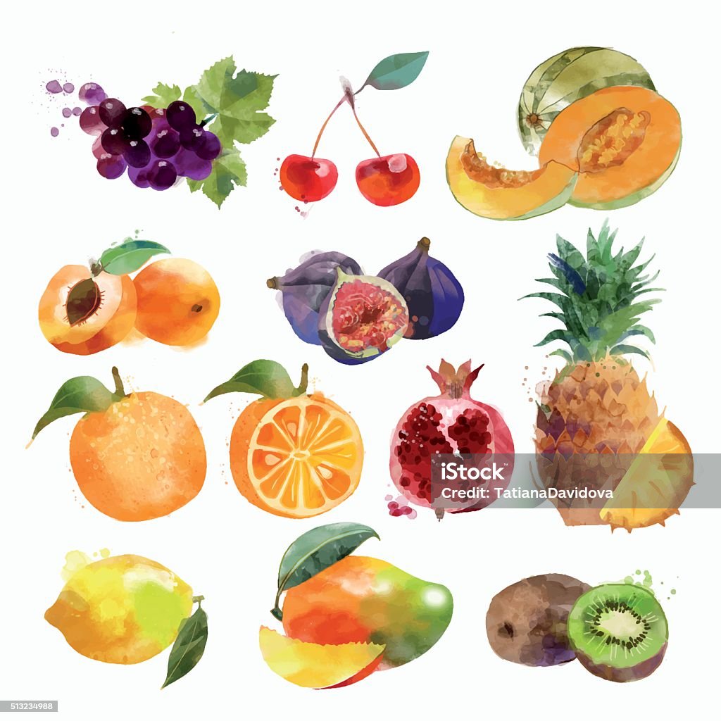 watercolor set of fruits - Royalty-free Meyve Vector Art