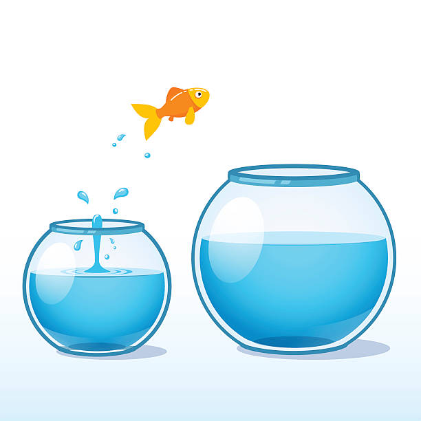Goldfish making leap of faith to a bigger fishbowl Goldfish making a leap of faith to a bigger fishbowl. Flat style vector illustration isolated on white background. goldfish bowl stock illustrations