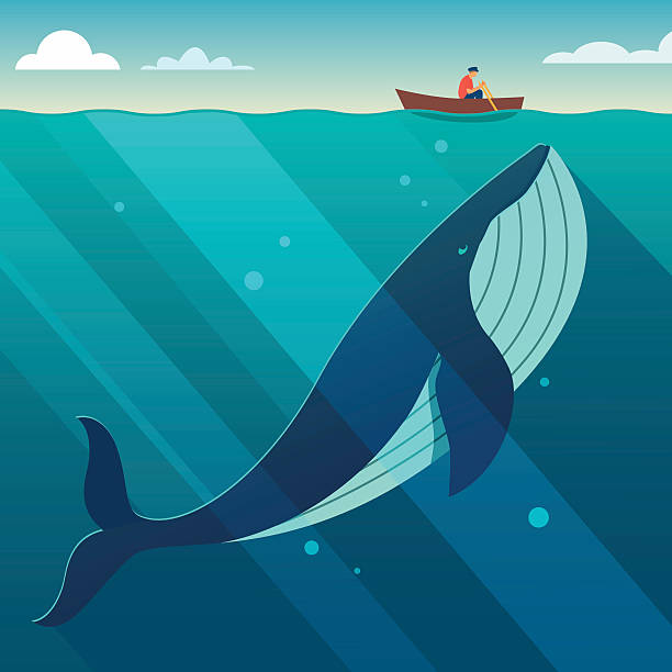 Hidden power concept Huge white whale under the small boat. Hidden power concept. Flat style vector illustration. whales stock illustrations