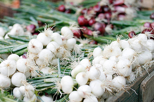 Bundles of fresh white and red onions on display at a farmers market.