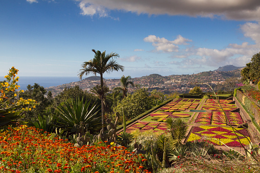 Botanical garden of Funchal, Madeira, Portugal