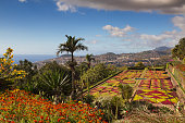 Botanical garden of Funchal