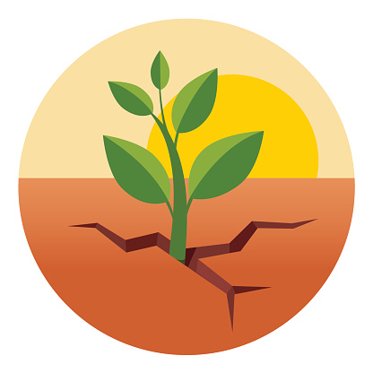 Little green sprout grows through dry desert ground. Flat style vector illustration isolated on white background.