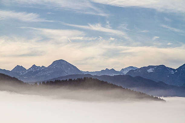 перевернув ее осенью - inversion layer стоковые фото и изображения