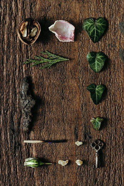 istock Creative arrangement of things. Flat lay 513237984
