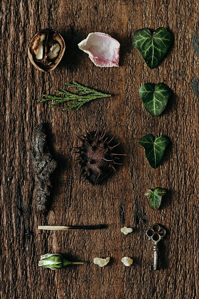 Creative arrangement of things. Flat lay