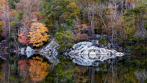 istock C&O Canal Park - autumn 3 513238624