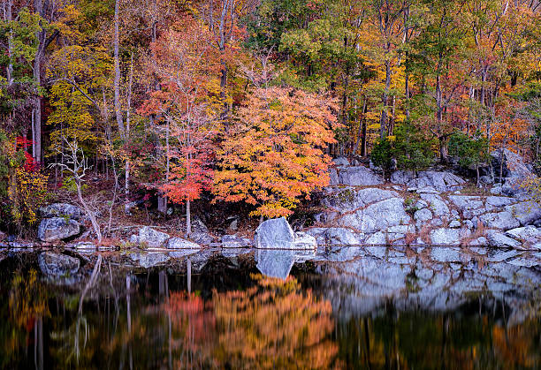 istock C&O Canal Park - autumn 1 513238816