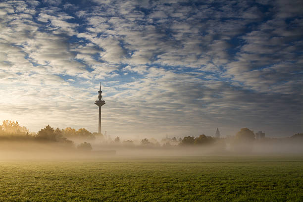 Early morning fog on a meadow with the skyline of Frankfurt in the background