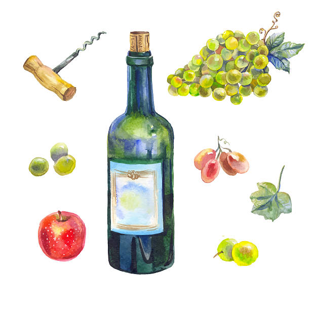 akwarela kolekcja wina - cheese wine white background grape stock illustrations