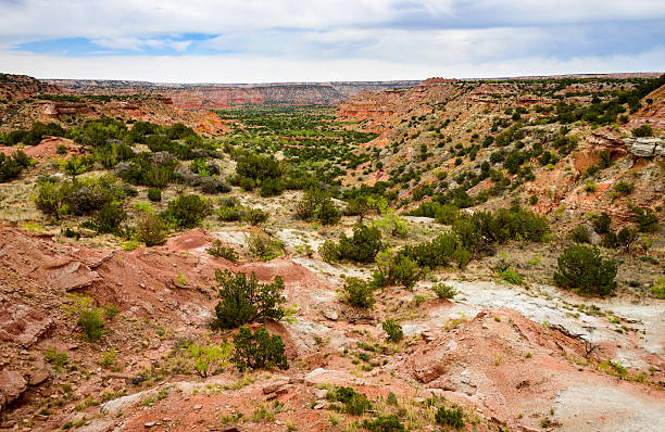 istock Palo Duro Canyon State Park 513242170