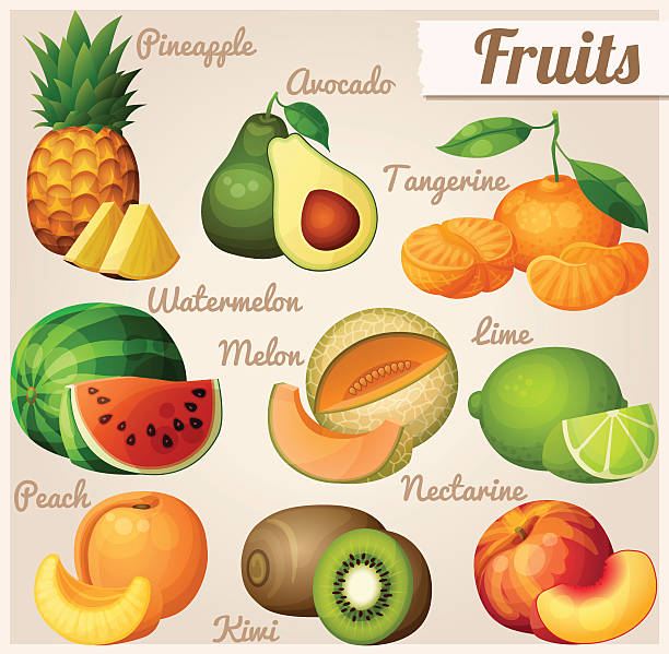 Set of food icons. Fruits. Pineapple (ananas), avocado, mandarin (tangerine Set of food icons. Fruits. Pineapple (ananas), avocado, mandarin (tangerine), watermelon, melon (cantaloupe) , lime, peach, nectarine ananas stock illustrations