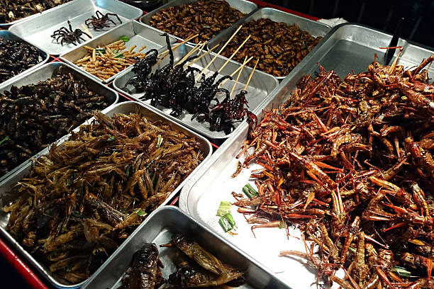 istock Fried Bugs in Bangkok night market 513242960