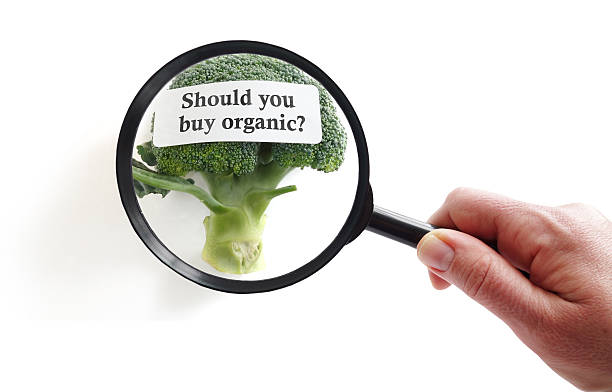 istock Choosing organic food 513243982