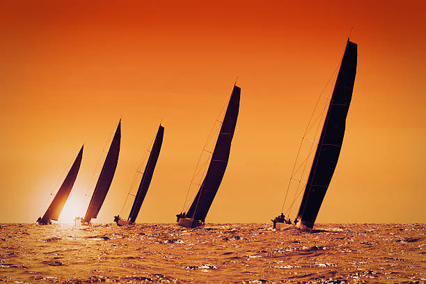 sailing yachts at sunset on the sea stock photo