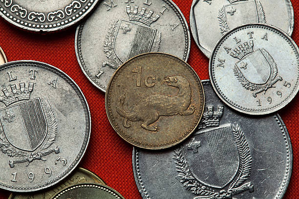 istock Coins of Malta. Weasel (Mustela nivalis) 513249110