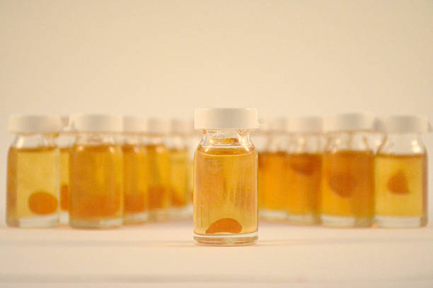 Organic Royal Jelly stock photo