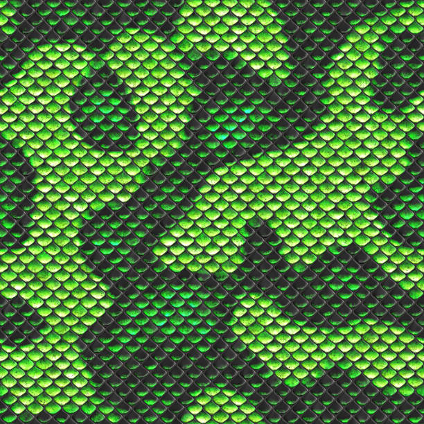 vert textur sans couture de peau de serpent - leather green hide textured effect photos et images de collection