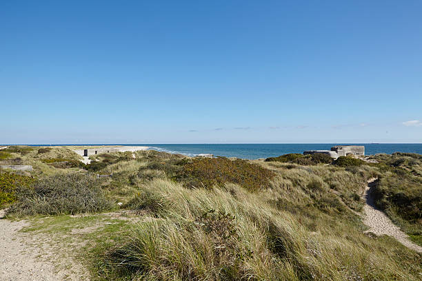 istock Skagen (Denmark) - Second World War Bunkers at the coast 513251583