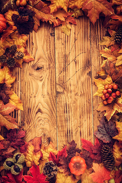 istock Autumn Decoration Background with Leafs 513251593