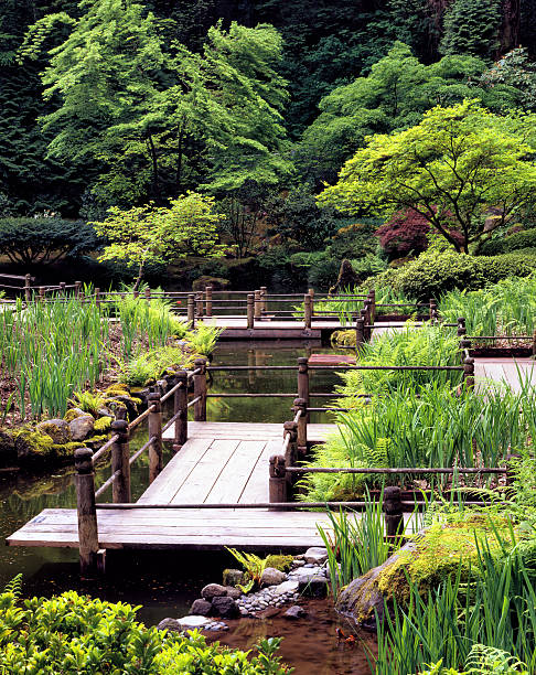 Pathway over pond in Japanese Garden, Portland, Oregon (4x5 film) Pathway over pond in Japanese Garden, Portland Oregon portland japanese garden stock pictures, royalty-free photos & images
