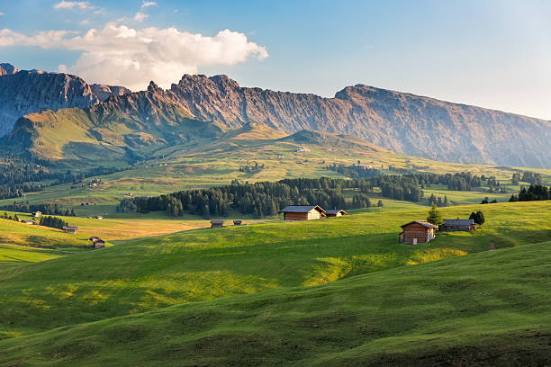 istock Seiser Alm in afternoon light, South Tyrol, Italy 513252222