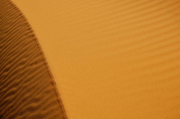 Sand, Shadows and Footprints stock photo