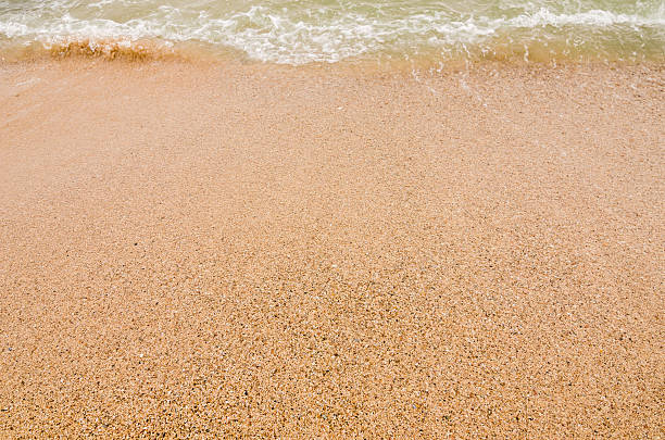 istock Wave of the sea on  sand beach 513253409