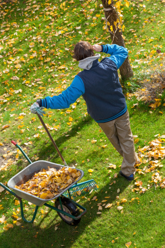 A lazy man cleaning his garden by raking up