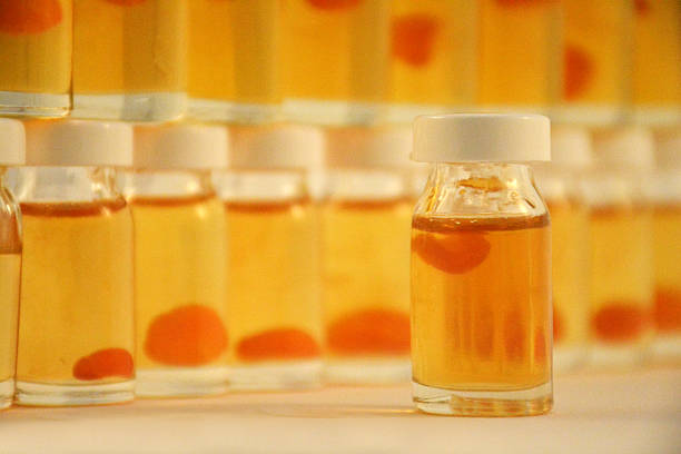 istock Organic Royal Jelly 513253656
