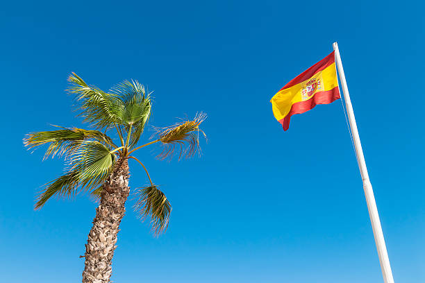 istock Spanish flag and palm tree in the blue sky 513253786