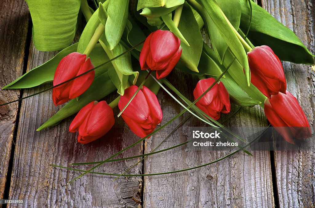 Red Tulips Heap of Seven Beautiful Spring Red Tulips with Green Grass isolated on Rustic Wooden background Beauty In Nature Stock Photo