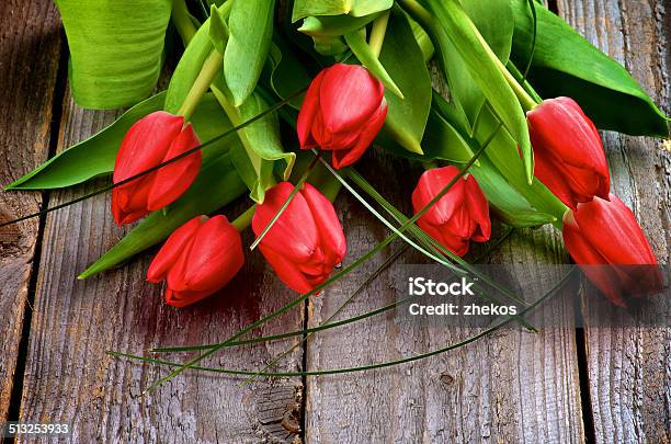 Red Tulips Stock Photo - Download Image Now - Beauty In Nature, Blossom, Border - Frame