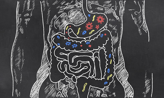 Los intestinos boceto con coraje bacterias photo