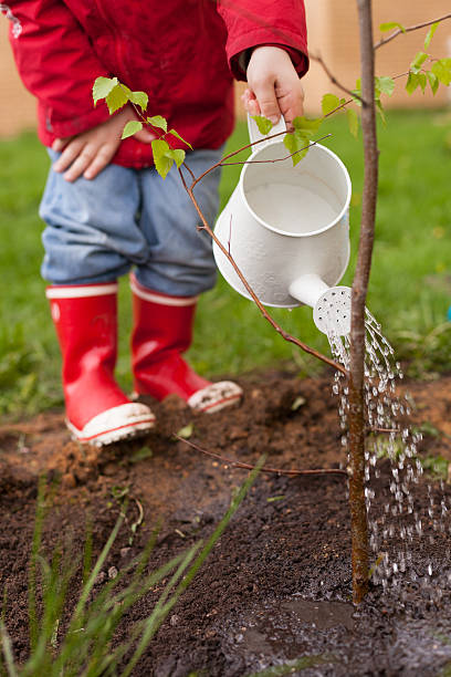 istock 4 years old boy planting a tree and watering it 513254256