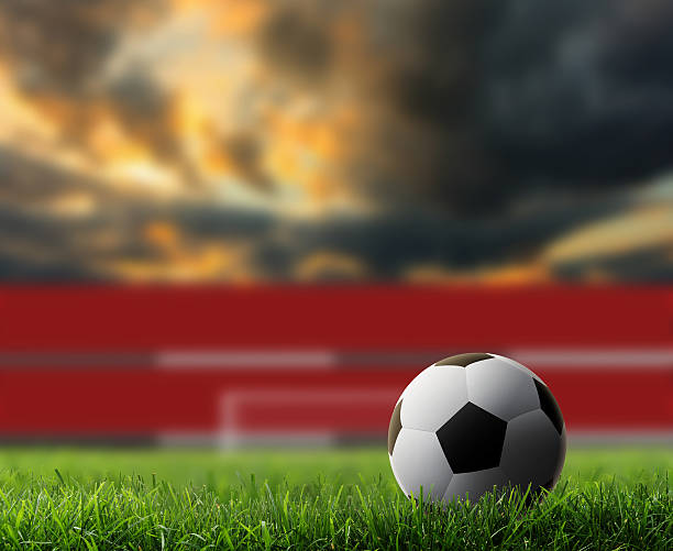 istock soccer ball on green grass with sunset background. 513256623