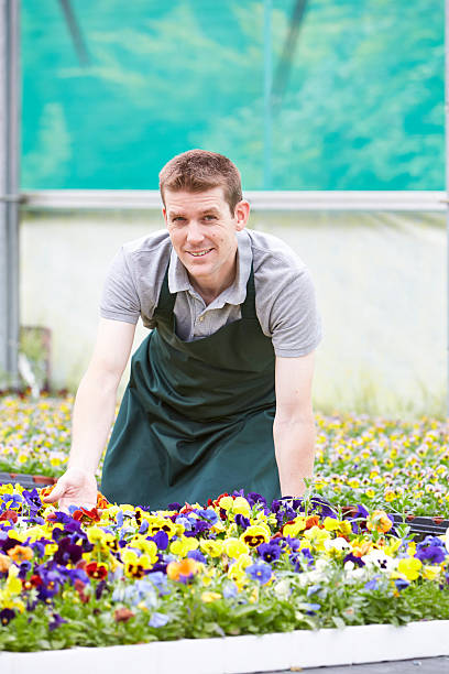istock Plant nursery worker tending to plants 513270161