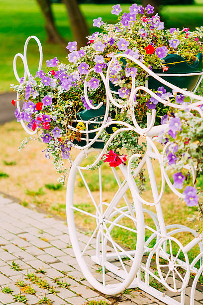 istock White Decorative Bicycle Parking In Garden 513271333