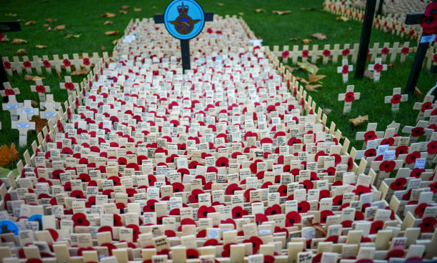 papavero cerimoniale giorno per veterani di westminster a londra, inghilterra, regno unito - ceremony poppy church us memorial day foto e immagini stock