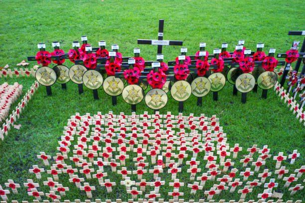 papavero cerimoniale giorno per veterani di westminster a londra, inghilterra, regno unito - ceremony poppy church us memorial day foto e immagini stock