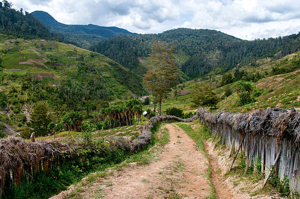 route dans les montagnes - guinée photos et images de collection