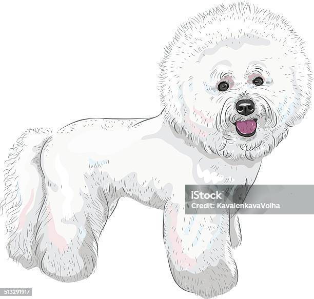 Vector White Cute Dog Bichon Frise Breed Stock Illustration - Download Image Now - Bichon Frise, Drawing - Art Product, Puppy
