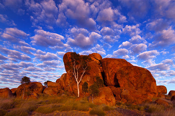 istock Ghost Gum Tree, Northern Territory, Australia 513292595