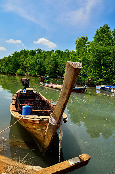 istock Long-tailed boat at mangrove forest 513292975